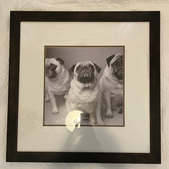 22 x 22” pug picture dark wood frame metal wire - Picture 2 of 5